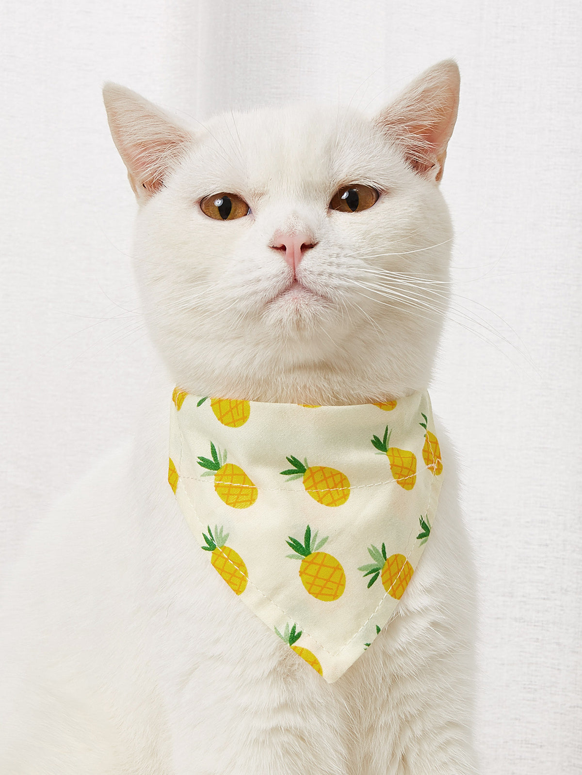 Cute Cartoon Bandana Collar for Dogs & Cats – Soft Cotton, Adjustable Snap Fastening