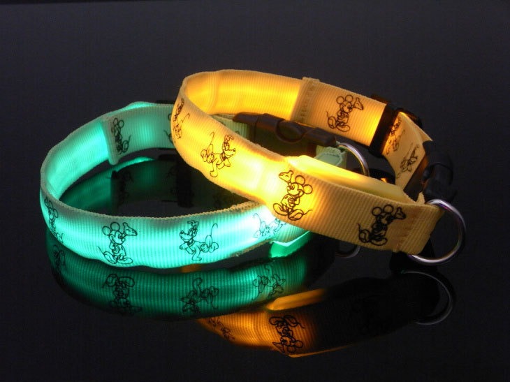 Glow-in-the-Dark LED Dog Collar – Cute & Safe for Small Dogs, Teddy & Toy Breeds