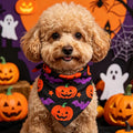 Pet Halloween Skull Spiderweb Dog Bandana Pet Saliva Scarf Factory Direct Supply