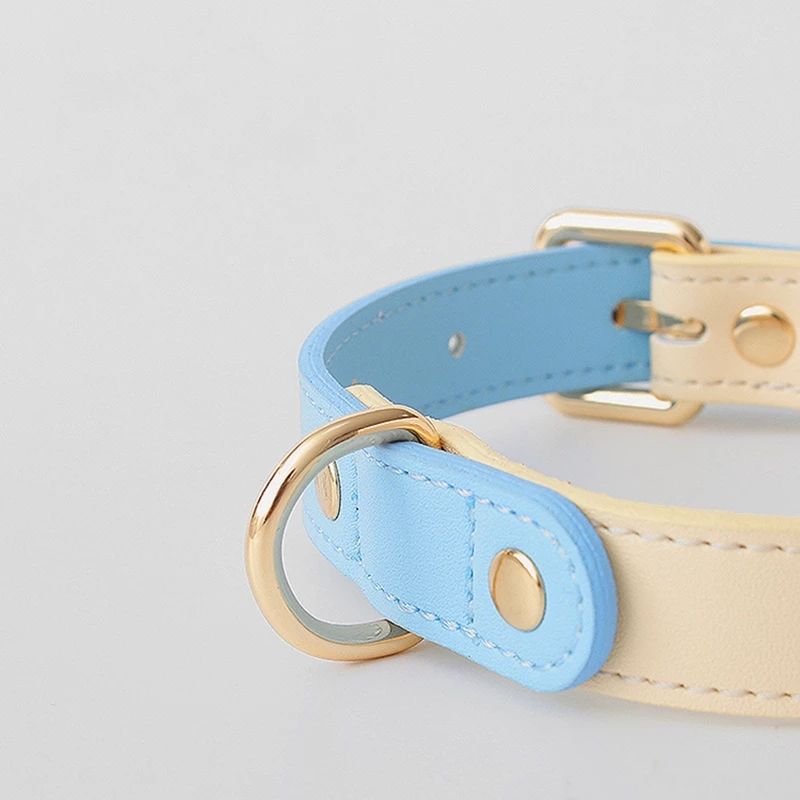 Genuine Leather Dog Collar & Lead Set – For Dogs & Cats