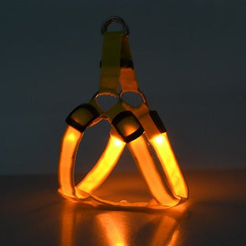 LED Luminous Dog Harness & Lead – Glow-in-the-Dark Safety Strap