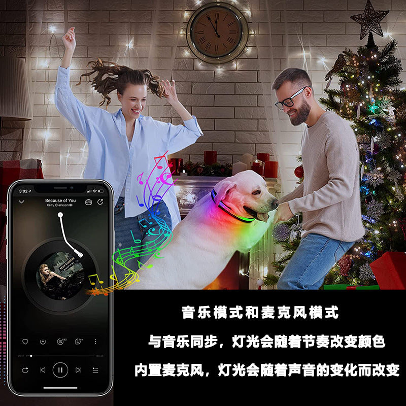 LED Light-Up Dog & Cat Collar – USB Rechargeable, App Controlled | Safety Night Walking