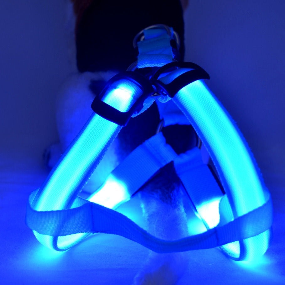 LED Luminous Dog Harness & Lead – Glow-in-the-Dark Safety Strap