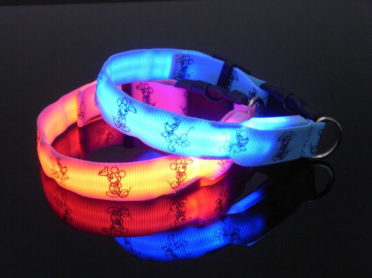 Glow-in-the-Dark LED Dog Collar – Cute & Safe for Small Dogs, Teddy & Toy Breeds