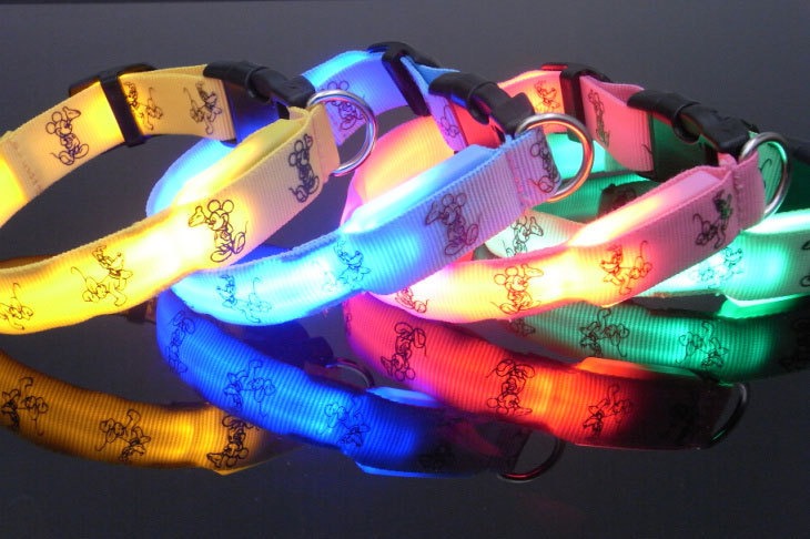 Glow-in-the-Dark LED Dog Collar – Cute & Safe for Small Dogs, Teddy & Toy Breeds