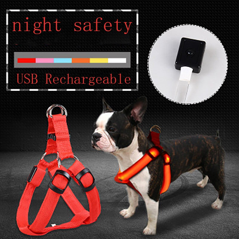 LED Luminous Dog Harness & Lead – Glow-in-the-Dark Safety Strap