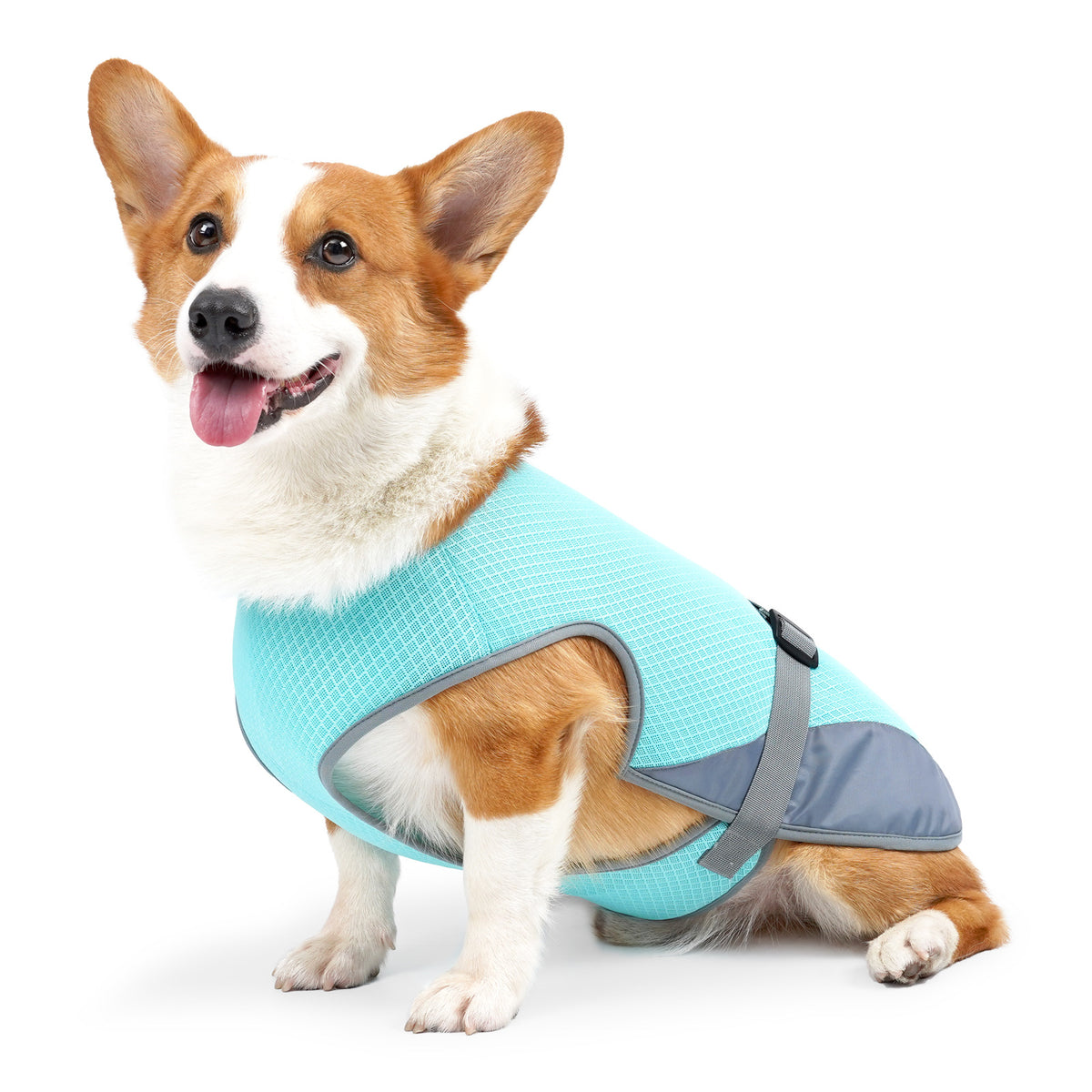Pet Cooling Jacket – Breathable Summer Clothes for Dogs & Cats