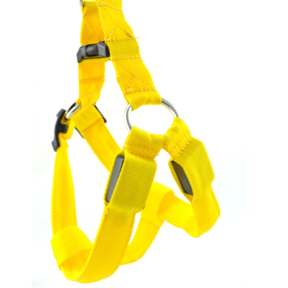 LED Luminous Dog Harness & Lead – Glow-in-the-Dark Safety Strap