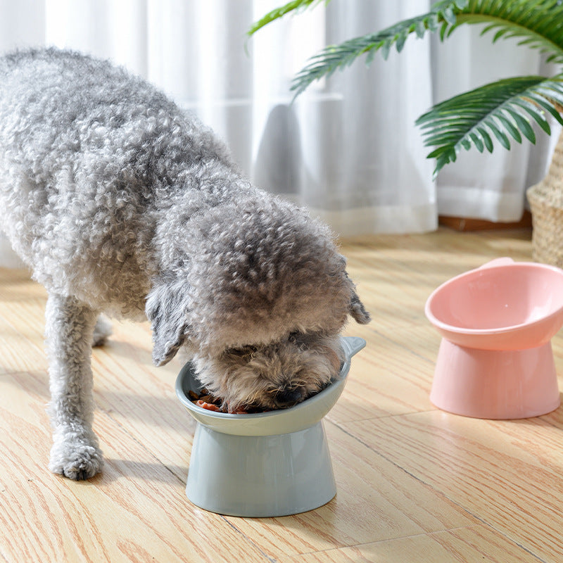 Tilted Raised Cat Bowl – Ergonomic Slanted Design to Protect Spine | Cats & Small Dogs