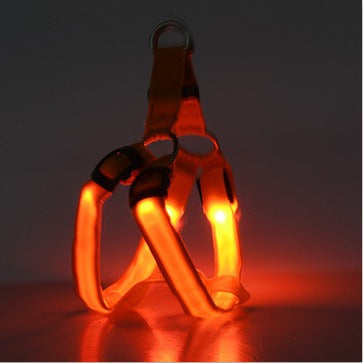 LED Luminous Dog Harness & Lead – Glow-in-the-Dark Safety Strap
