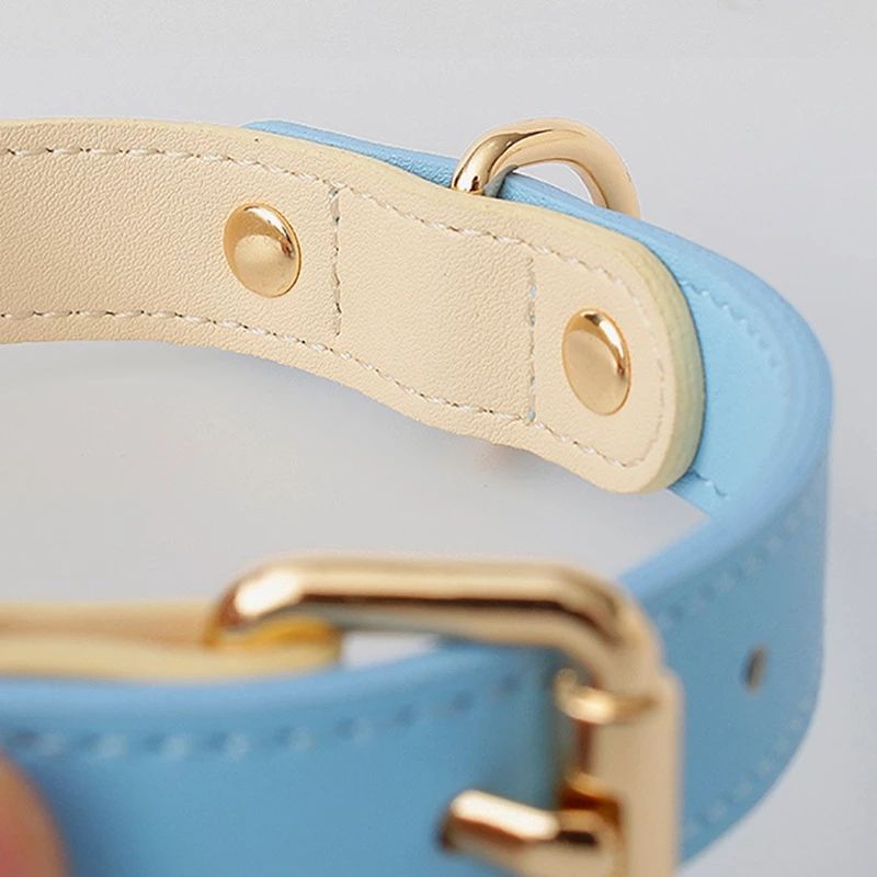 Genuine Leather Dog Collar & Lead Set – For Dogs & Cats