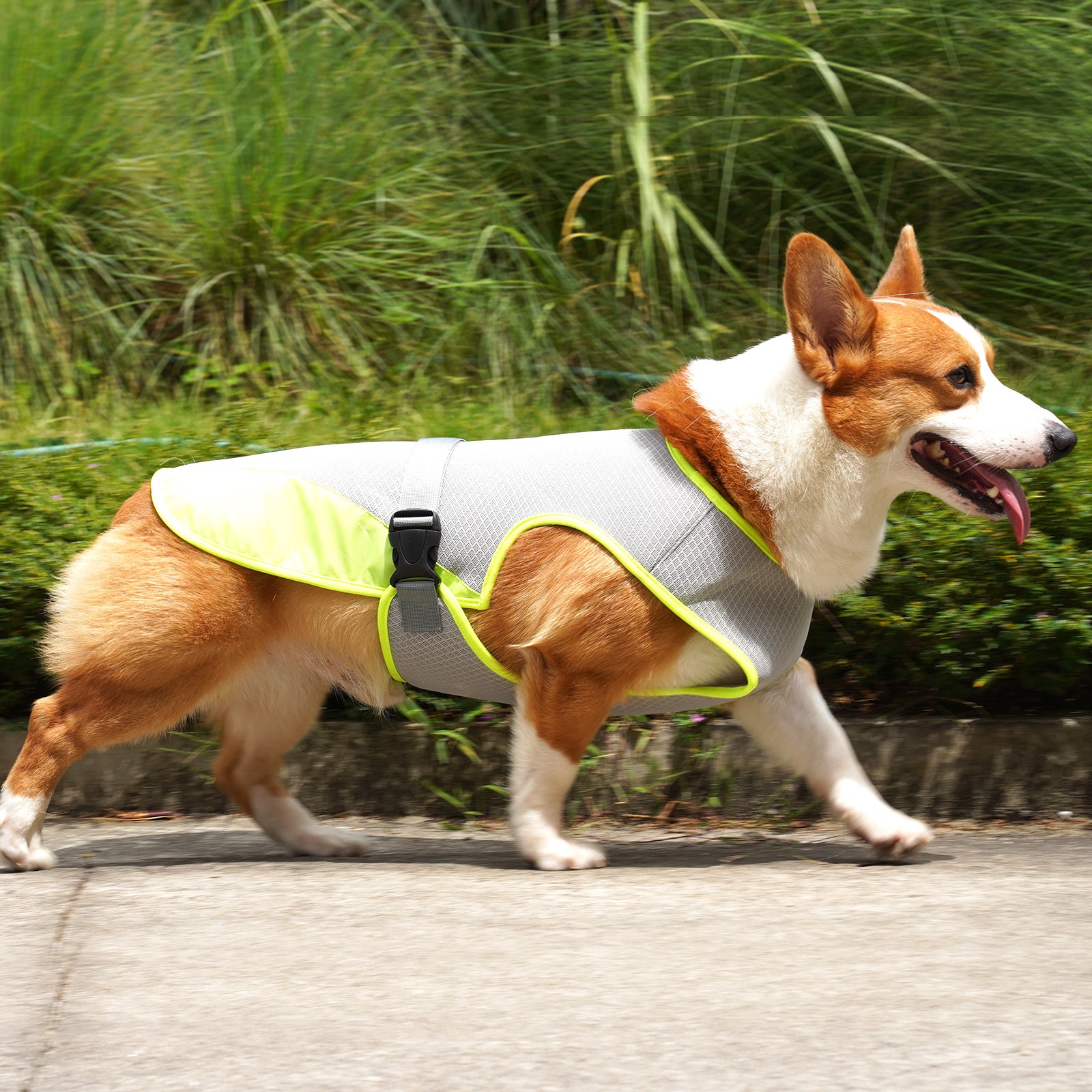 Pet Cooling Jacket – Breathable Summer Clothes for Dogs & Cats