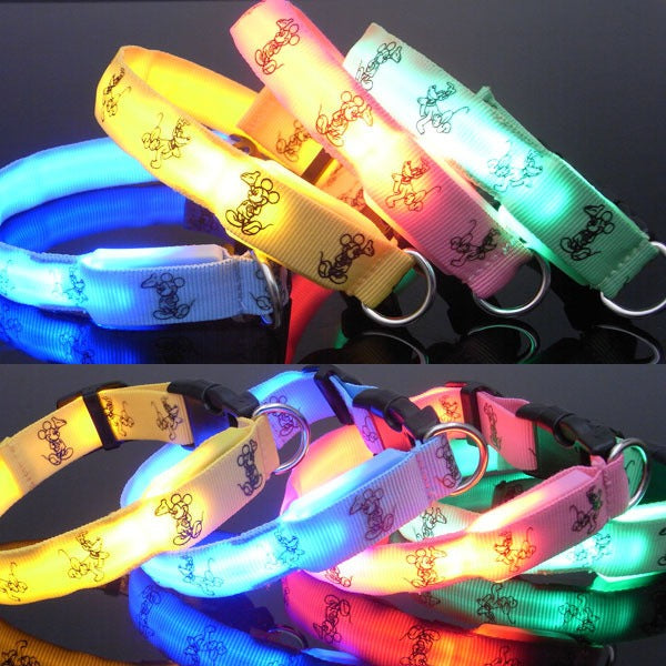 Glow-in-the-Dark LED Dog Collar – Cute & Safe for Small Dogs, Teddy & Toy Breeds