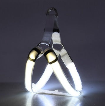 LED Luminous Dog Harness & Lead – Glow-in-the-Dark Safety Strap