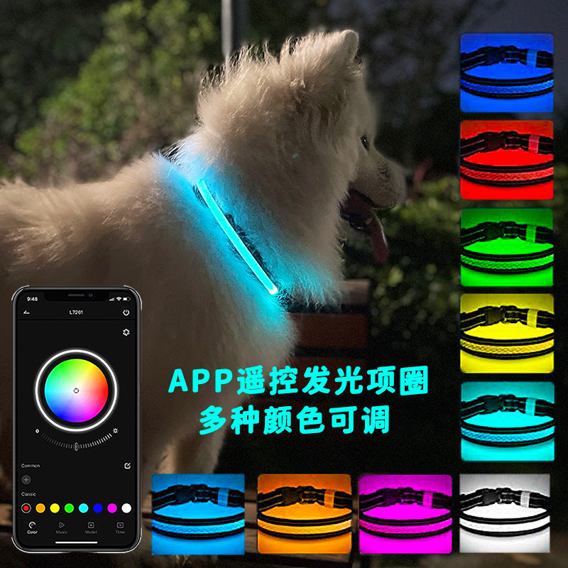 LED Light-Up Dog & Cat Collar – USB Rechargeable, App Controlled | Safety Night Walking