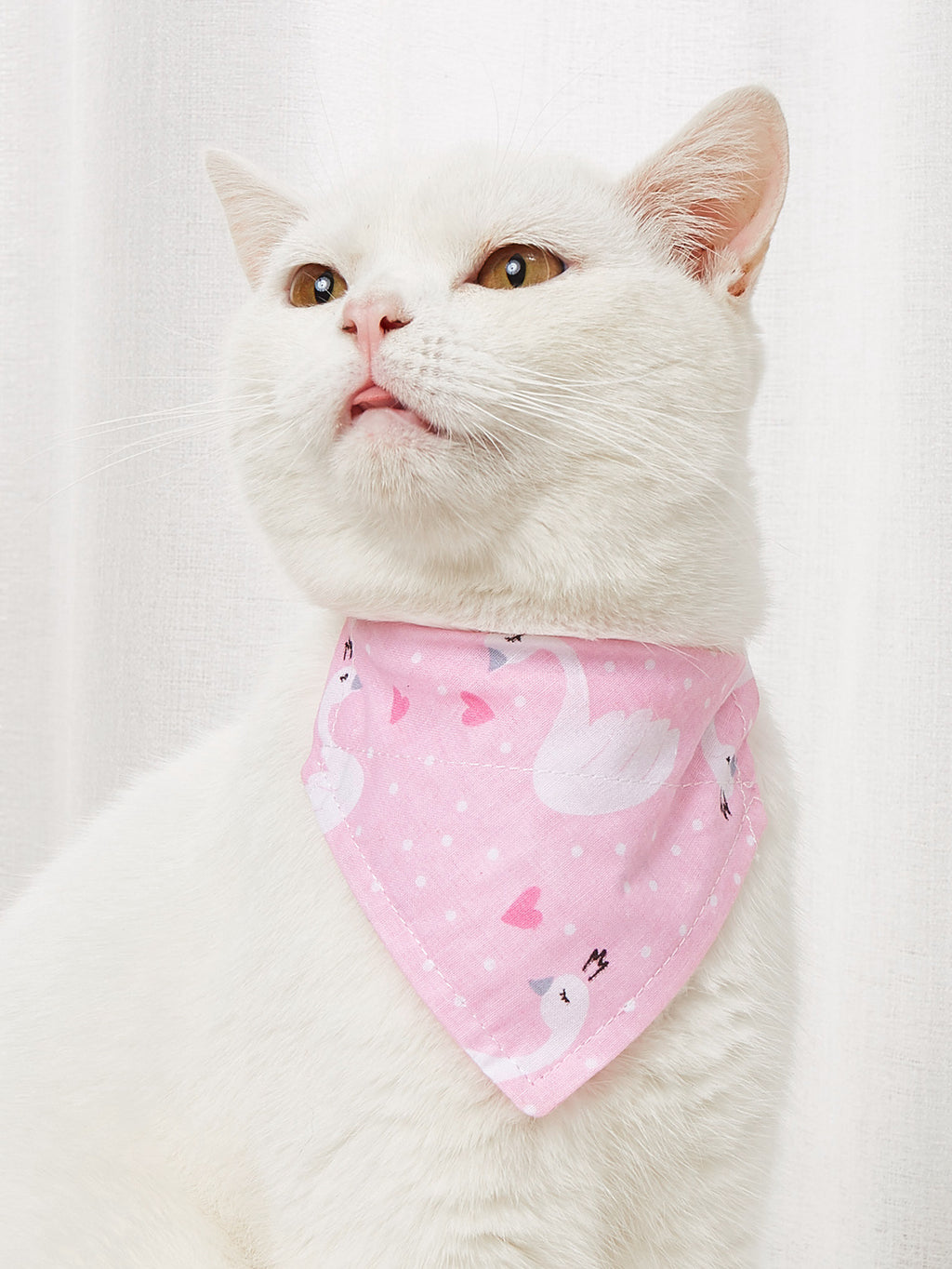 Cute Cartoon Bandana Collar for Dogs & Cats – Soft Cotton, Adjustable Snap Fastening