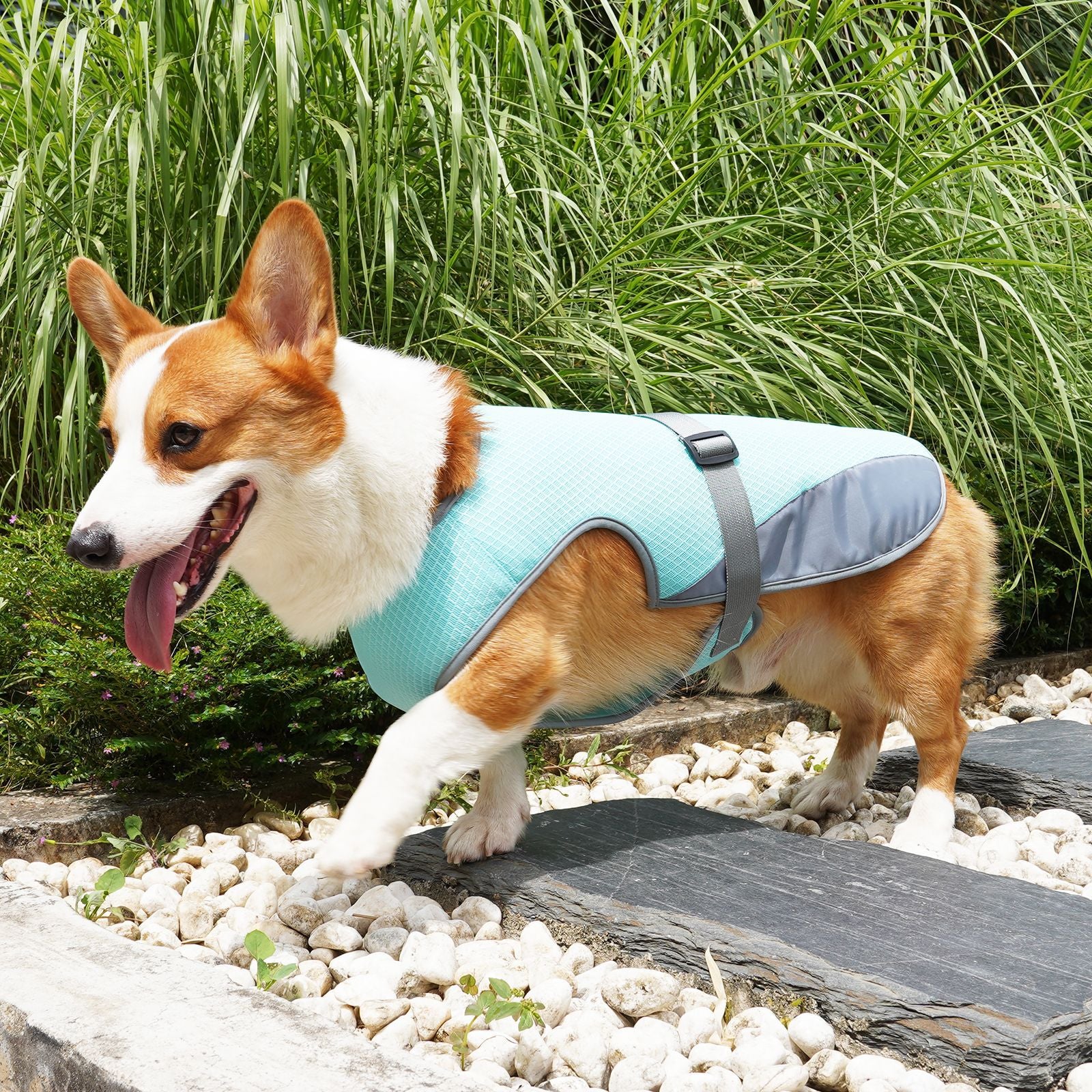 Pet Cooling Jacket – Breathable Summer Clothes for Dogs & Cats
