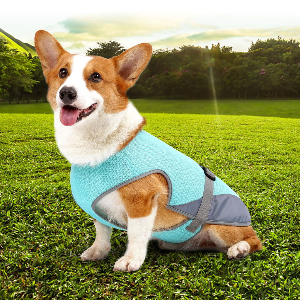 Pet Cooling Jacket – Breathable Summer Clothes for Dogs & Cats