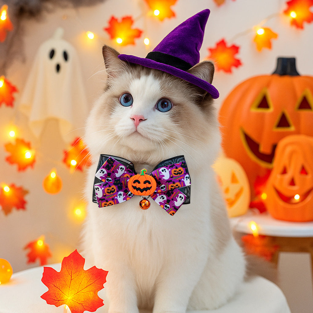 Pet Halloween Pet Collar with Funny Pumpkin Decoration, Dog Collar with Bow Tie, Cat Scarf for Small Dogs