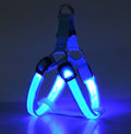 LED Luminous Dog Harness & Lead – Glow-in-the-Dark Safety Strap