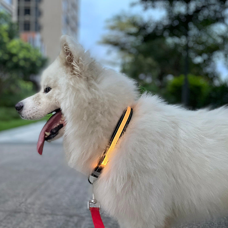 LED Light-Up Dog & Cat Collar – USB Rechargeable, App Controlled | Safety Night Walking