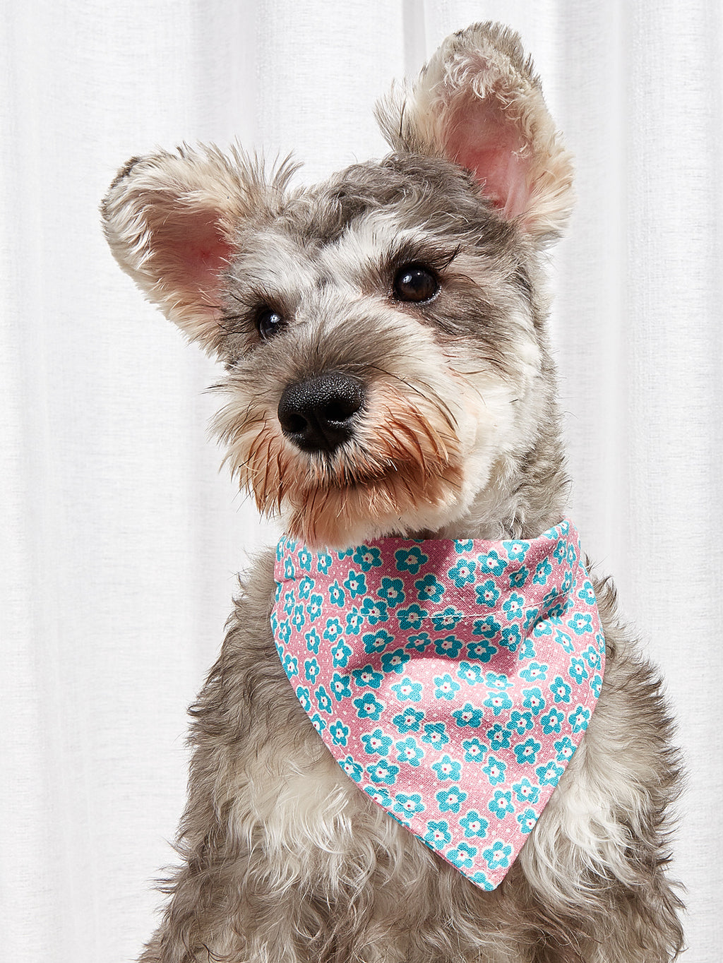 Cute Cartoon Bandana Collar for Dogs & Cats – Soft Cotton, Adjustable Snap Fastening
